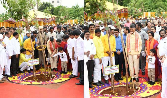 140718cm-vanam-gal11