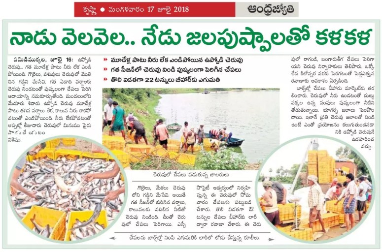 Fish Culture Pamidimukkala Jyothy clip 17-07-2018.jpg