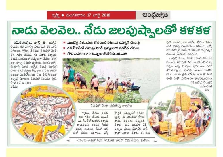 Krishna District Progress 2017-18_Page_38