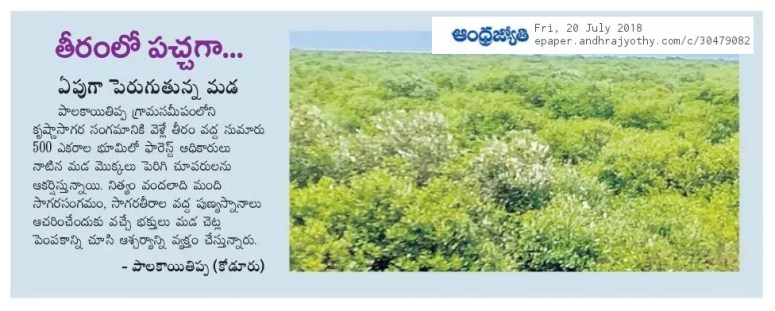 Mada Plantations Palakayatippa sea shore - Jyothy 20-07-2018.jpg