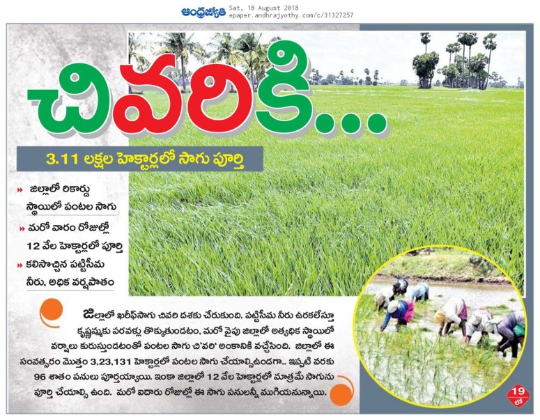 Cultivation Jyothy Krishna 18-08-2018.jpg