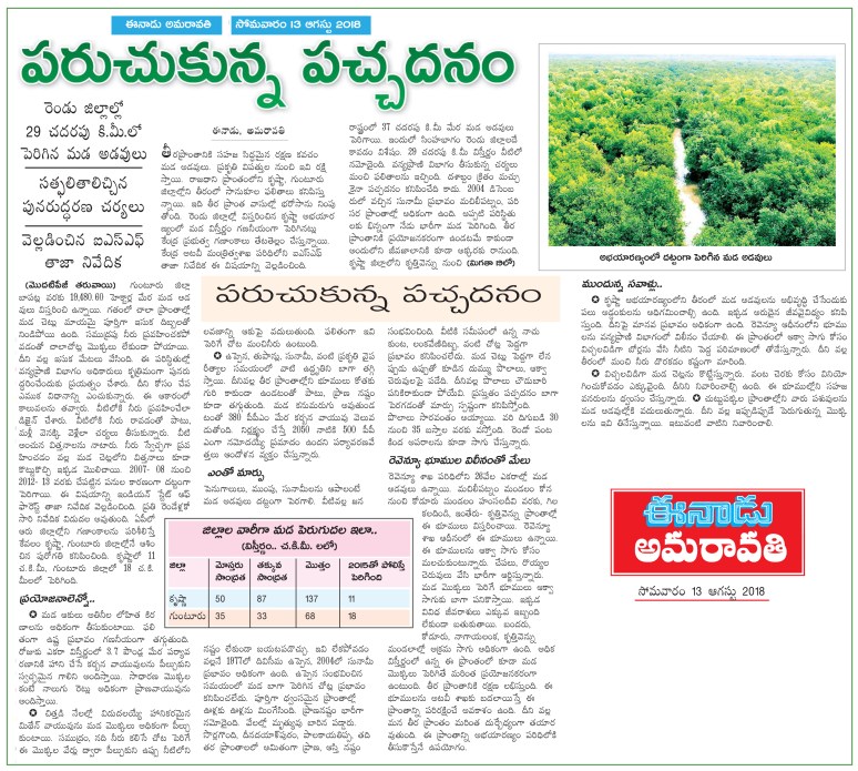 Mada-Forest-Krishna-Guntur-District-Eeandu-13-08-2018.jpg