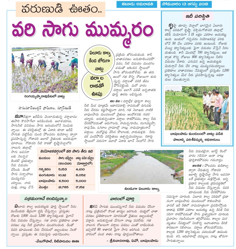 PaddyCultivation Active Gannavaram Eenadu 13-08-2018.jpg