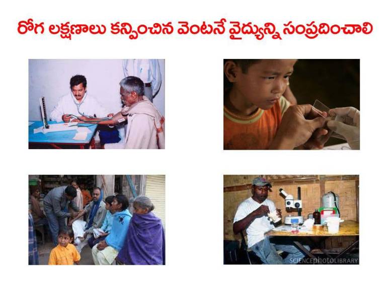 Mosquitoes-Diseases-దోమలు-వ్యాధులు_Page_11