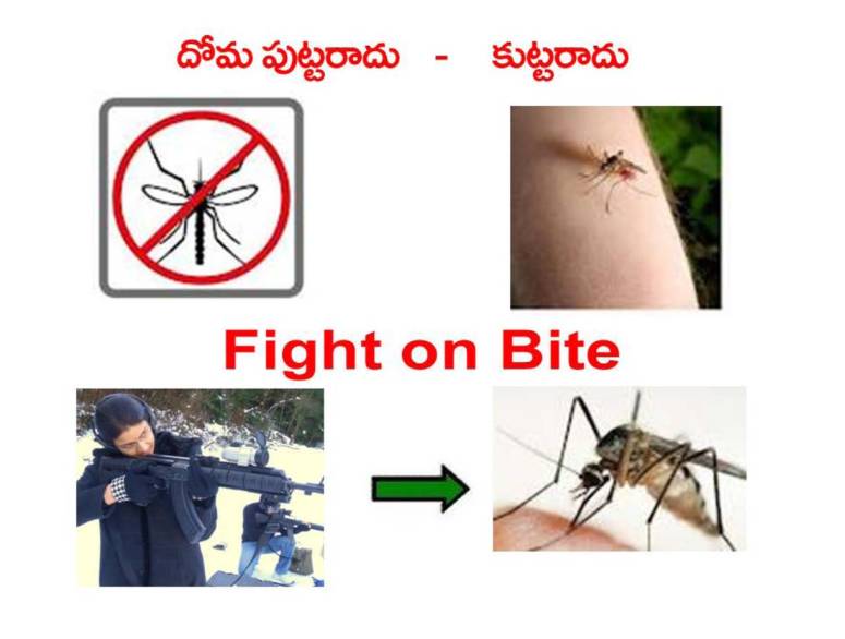 Mosquitoes-Diseases-దోమలు-వ్యాధులు_Page_14