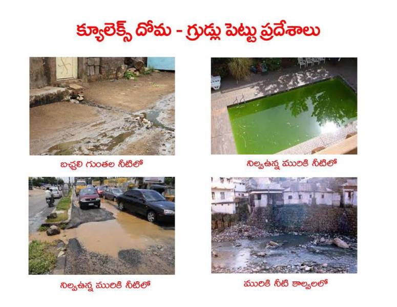 Mosquitoes-Diseases-దోమలు-వ్యాధులు_Page_17