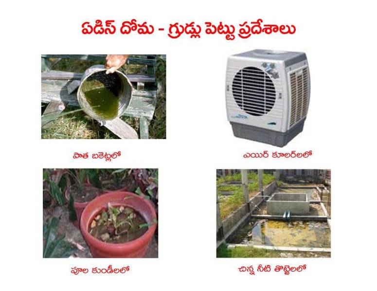 Mosquitoes-Diseases-దోమలు-వ్యాధులు_Page_18