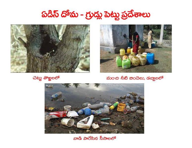 Mosquitoes-Diseases-దోమలు-వ్యాధులు_Page_20