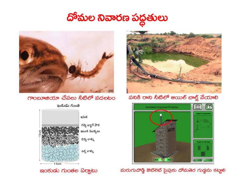 Mosquitoes-Diseases-దోమలు-వ్యాధులు_Page_24