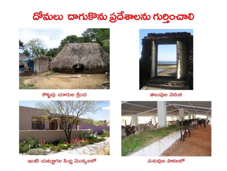 Mosquitoes-Diseases-దోమలు-వ్యాధులు_Page_28