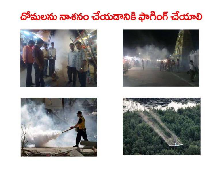 Mosquitoes-Diseases-దోమలు-వ్యాధులు_Page_30