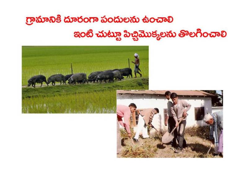 Mosquitoes-Diseases-దోమలు-వ్యాధులు_Page_32