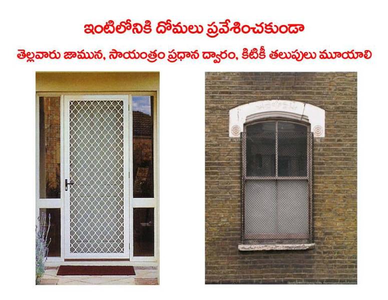 Mosquitoes-Diseases-దోమలు-వ్యాధులు_Page_33