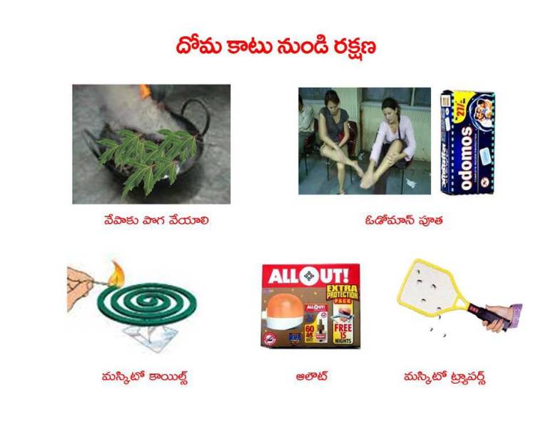 Mosquitoes-Diseases-దోమలు-వ్యాధులు_Page_34