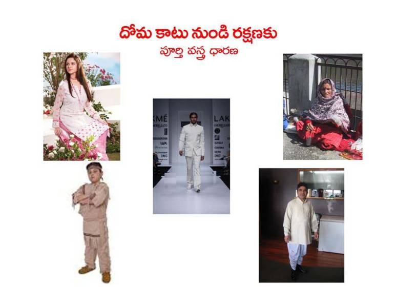 Mosquitoes-Diseases-దోమలు-వ్యాధులు_Page_35