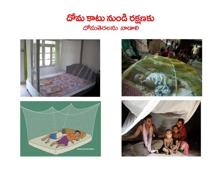 Mosquitoes-Diseases-దోమలు-వ్యాధులు_Page_36