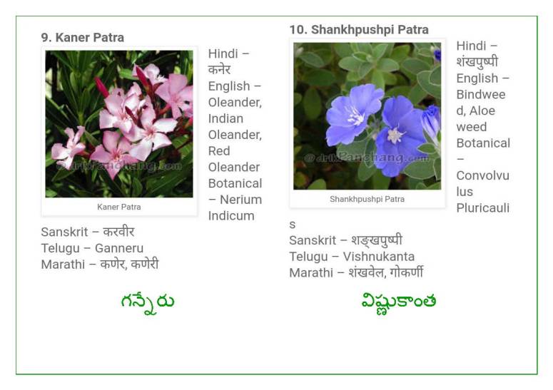 Vinayaka Patri 21 Leaves_Page_06