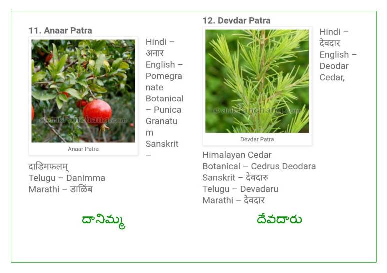 Vinayaka Patri 21 Leaves_Page_07