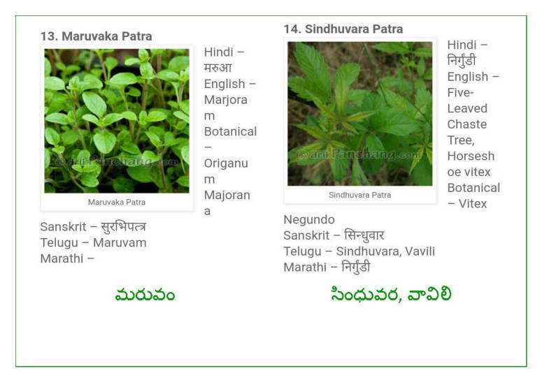 Vinayaka Patri 21 Leaves_Page_08