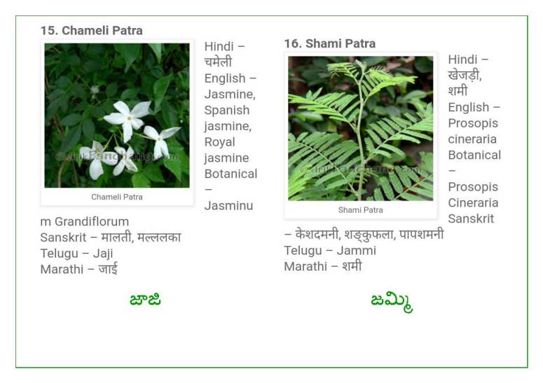 Vinayaka Patri 21 Leaves_Page_09