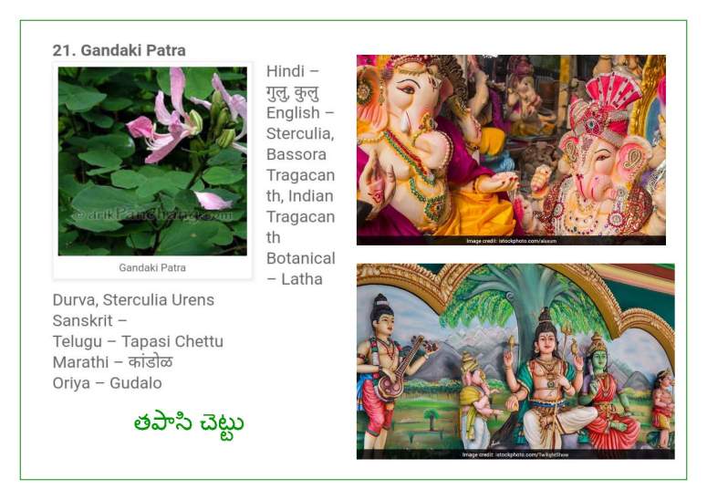 Vinayaka Patri 21 Leaves_Page_12