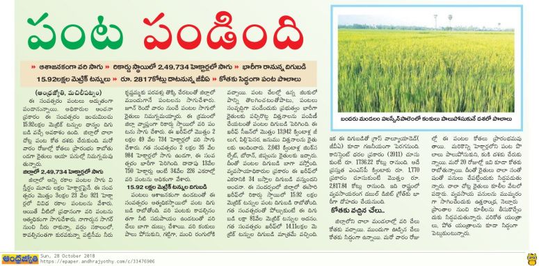 Paddy Crop Satisfactory Jyothy 28-10-2018