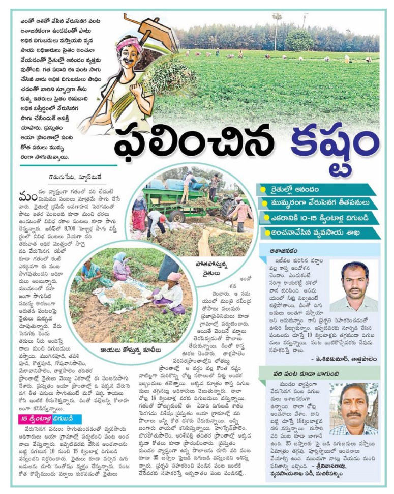 Farmers Happy in Crop Yeilds Eenadu 19-11-2018