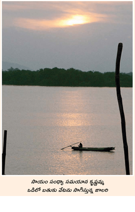 Fisherman in Krishna Bhoomi 20-11-2018