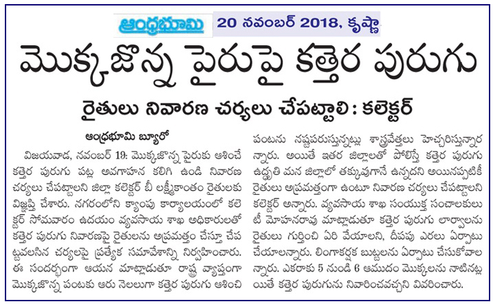 Maize Pest Control Bhoomi 20-11-2018.jpg