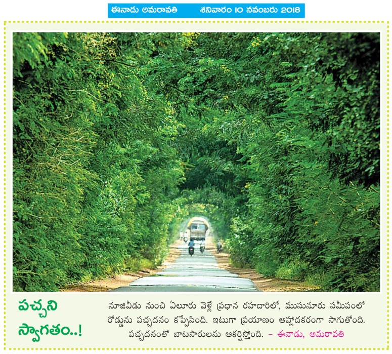 NZD-ELUR Road Greenary Eenadu 10-11-2018.jpg