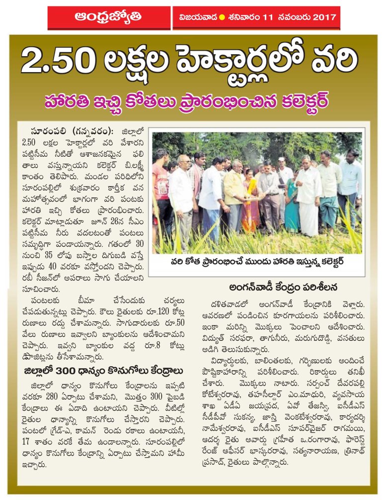 Paddy Harvest Started Jyothy 11-11-2017