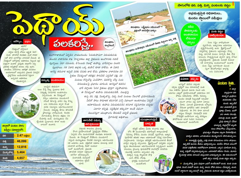 Pethai Eenadu Krishna 16-12-2018.JPG