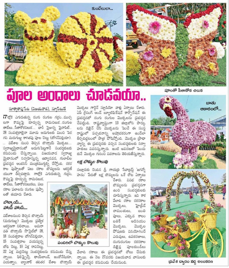 flowers plants exhibition eenadu 24-01-2019
