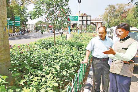 Greenary in Tirupati.jpg